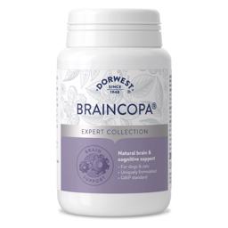 Dorwest BrainCopa Kosttillskott Kognitivt Stöd För Hjärnan